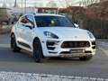 Porsche Macan GTS *Bose*Pano.*Luftfahrw*Chrono*Sportabg* Weiß - thumbnail 3
