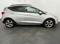 Ford Fiesta Fiesta active 1.0 ecoboost s&s 100cv Argent - thumbnail 5
