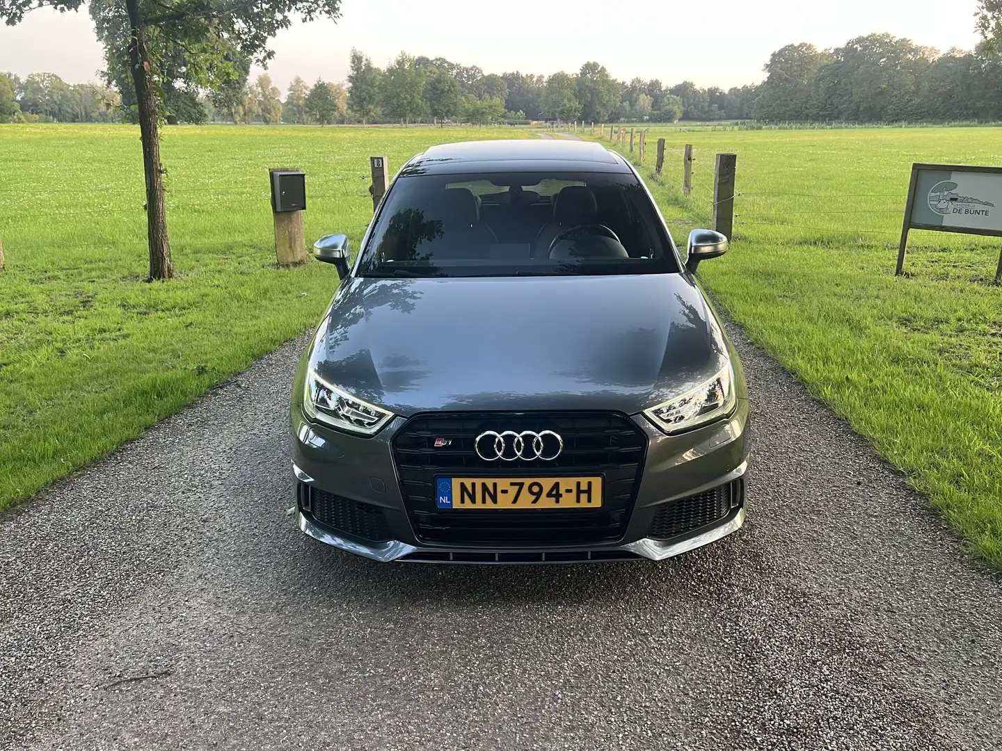 Audi S1 Quattro 2.0 TFSI Pro Line Plus Panoramadak Bose Grijs - 2