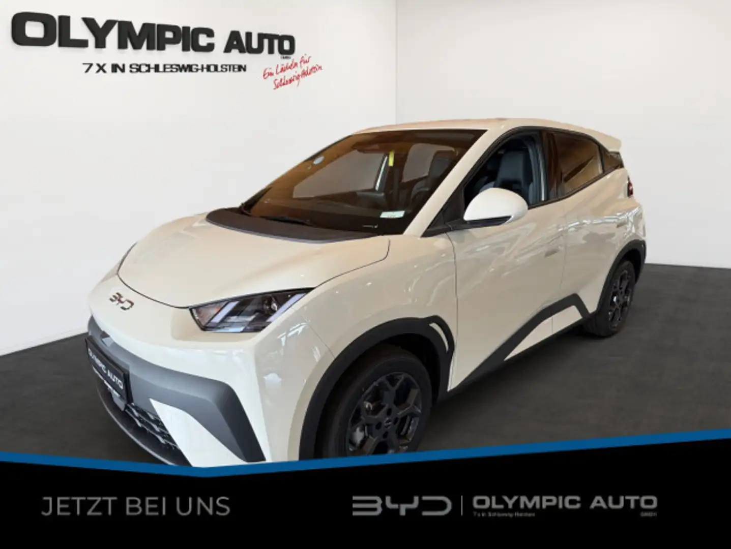 BYD Dolphin Dolphin Surf Boost 43kWh KAMERA CARPLAY NAVI ALU Белый - 1