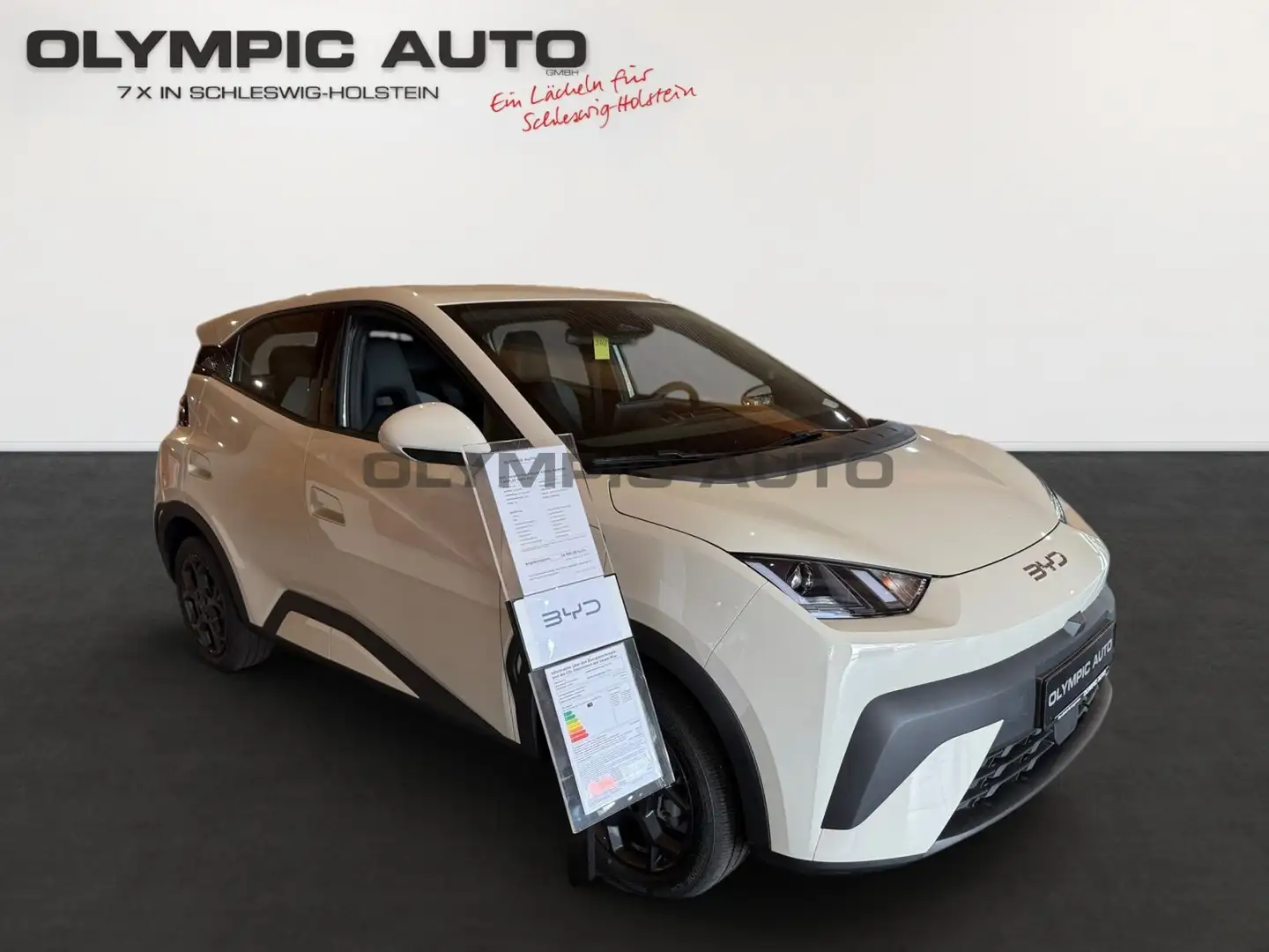 BYD Dolphin Dolphin Surf Boost 43kWh KAMERA CARPLAY NAVI ALU Белый - 2