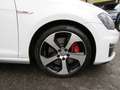 Volkswagen Golf GTI 7 VII 2.0 TSI Performance MANUALE 99.000 KM REALI Bianco - thumbnail 4