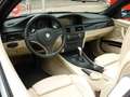 BMW 335 3-serie Cabrio 335i High Executive NL Auto - Young Zwart - thumbnail 4