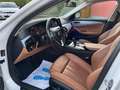 BMW 520 D Touring*2.Hd*Navi*Leder*LED*19Zoll* Weiß - thumbnail 15