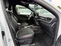 Ford Kuga Plug-In Hybrid ST-Line X+AHK+B&O+Head-Up Weiß - thumbnail 11