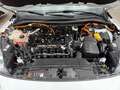 Ford Kuga Plug-In Hybrid ST-Line X+AHK+B&O+Head-Up Weiß - thumbnail 19