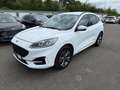 Ford Kuga Plug-In Hybrid ST-Line X+AHK+B&O+Head-Up Weiß - thumbnail 4
