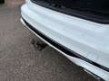 Ford Kuga Plug-In Hybrid ST-Line X+AHK+B&O+Head-Up Weiß - thumbnail 14
