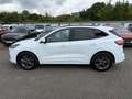 Ford Kuga Plug-In Hybrid ST-Line X+AHK+B&O+Head-Up Weiß - thumbnail 3