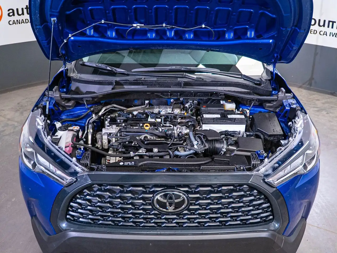Toyota Corolla Cross photo Toyota Corolla Cross