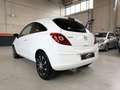 Opel Corsa Corsa 3p 1.2 Ecotec Gpl-tech 85cv NEOPATENTATI Wit - thumbnail 3
