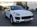Porsche Cayenne S E-Hybrid / AHK / Park-Assistent/  Luft Alb - thumbnail 4