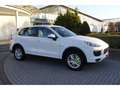 Porsche Cayenne S E-Hybrid / AHK / Park-Assistent/  Luft Alb - thumbnail 3