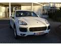 Porsche Cayenne S E-Hybrid / AHK / Park-Assistent/  Luft Alb - thumbnail 1