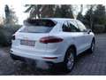 Porsche Cayenne S E-Hybrid / AHK / Park-Assistent/  Luft Alb - thumbnail 14