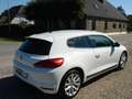 Volkswagen Scirocco Basis BMT/Start-Stopp Blanc - thumbnail 5