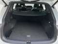 Volkswagen Tiguan Allspace R-Line 2.0 TSI DSG 4M PANO Weiß - thumbnail 9