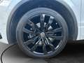 Volkswagen Tiguan Allspace R-Line 2.0 TSI DSG 4M PANO Weiß - thumbnail 11