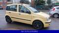 Fiat Panda 1.2 8V MyLive-Klima-Alufelgen-5Türer Geel - thumbnail 10