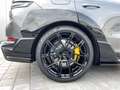 Porsche Cayenne Magnum / 1of25 / First Edition Grau - thumbnail 18