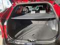 Suzuki Across Plug in Hybrid Comfort+ Rot - thumbnail 7