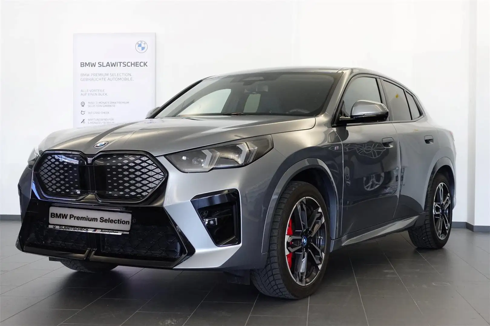BMW iX2 xDrive30 U10 M-Sportpaket Pro Grau - 1