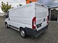 Fiat Ducato Kasten Weiß - thumbnail 4
