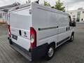 Fiat Ducato Kasten Weiß - thumbnail 6