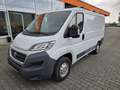 Fiat Ducato Kasten Weiß - thumbnail 1
