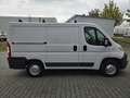 Fiat Ducato Kasten Weiß - thumbnail 7