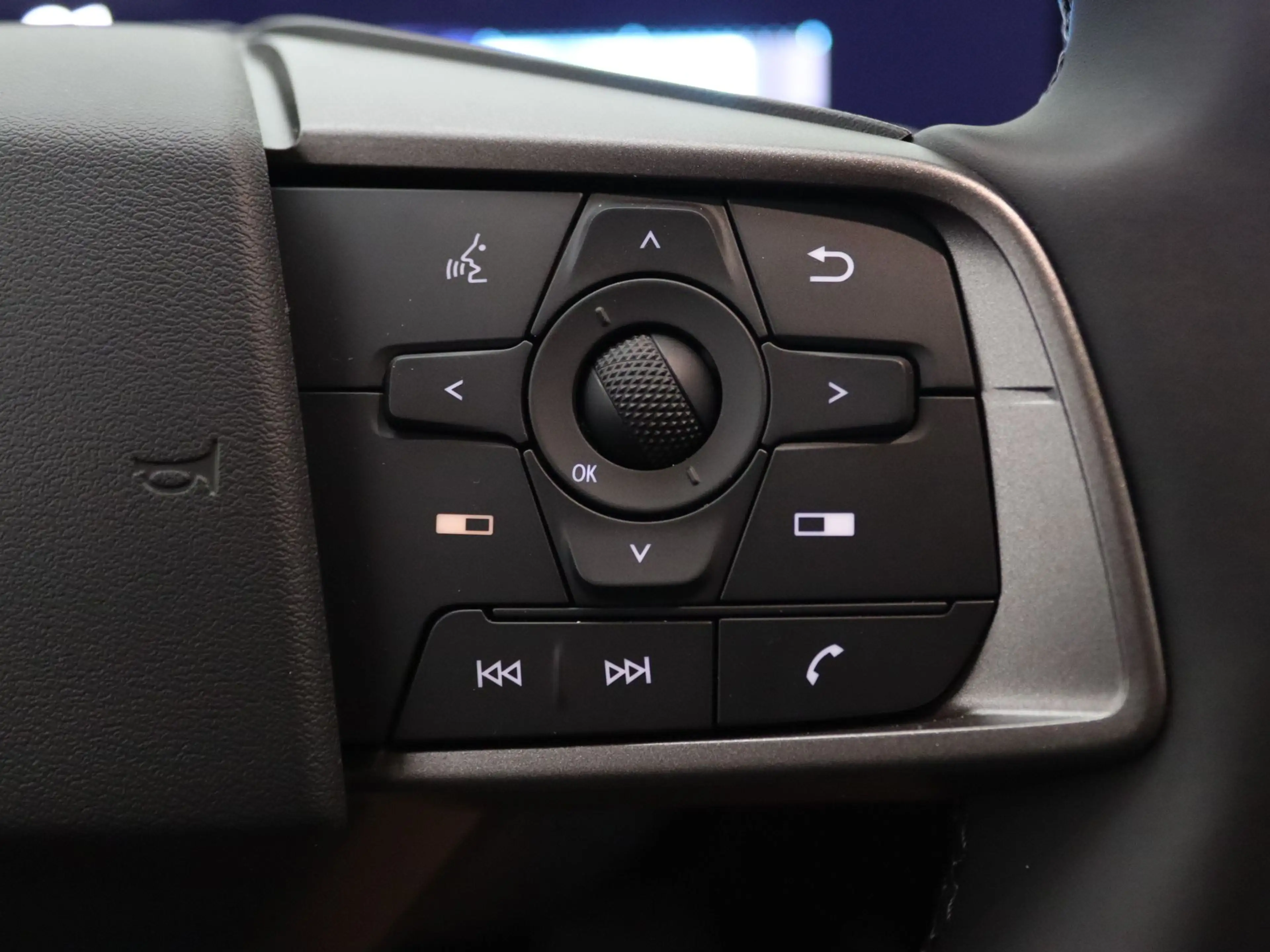 Nissan Leaf Evolve 52 kWh BOSE | Elektr. Achterklep — photo 14