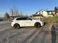 CUPRA Terramar 1,5 eTSI DSG - thumbnail 5