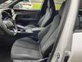 CUPRA Terramar 1,5 eTSI DSG - thumbnail 12