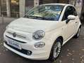 Fiat 500 500 III 2017 1.2  69cv Wit - thumbnail 3