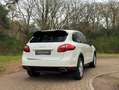 Porsche Cayenne 3.0 S Hybrid | Sandweiss Wit - thumbnail 5