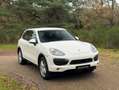 Porsche Cayenne 3.0 S Hybrid | Sandweiss Wit - thumbnail 7