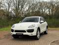 Porsche Cayenne 3.0 S Hybrid | Sandweiss Wit - thumbnail 1