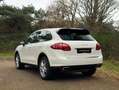 Porsche Cayenne 3.0 S Hybrid | Sandweiss Wit - thumbnail 3