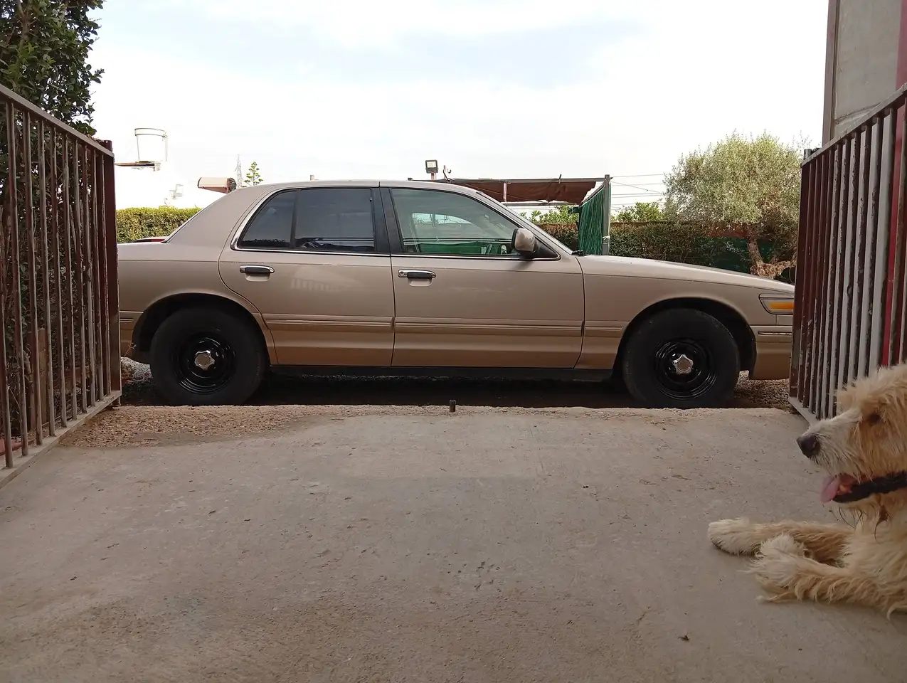 Ford Crown Grand Marquis GS, foto 11