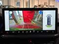 Ford Focus ST X 2.3 EcoBoost Matrix-LED*el.Heckkl*ACC Yeşil - thumbnail 14