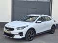 Kia XCeed Vision PHEV TEMP SHZ LED DAB Weiß - thumbnail 3