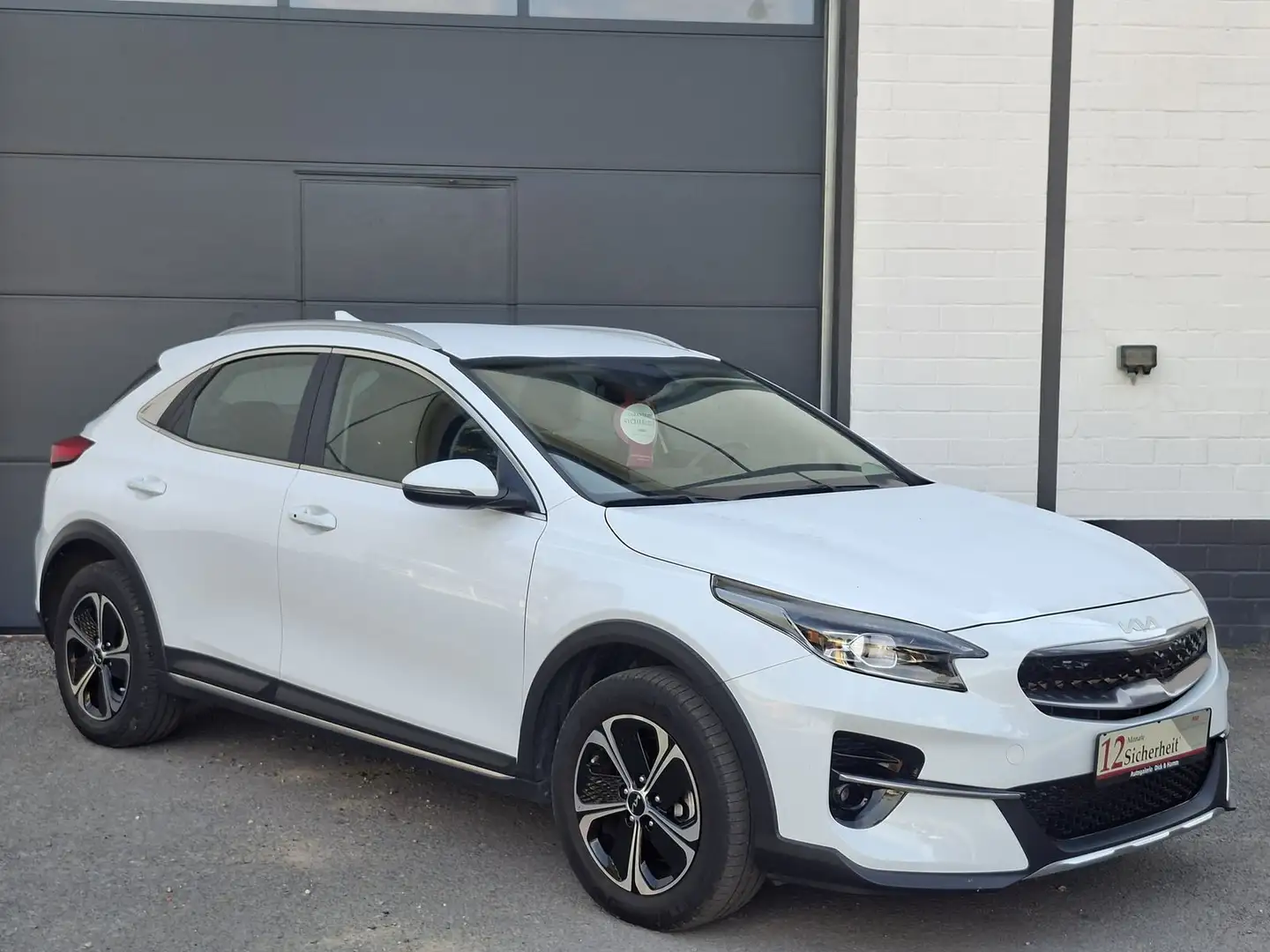 Kia XCeed Vision PHEV TEMP SHZ LED DAB Weiß - 1