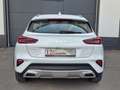 Kia XCeed Vision PHEV TEMP SHZ LED DAB Weiß - thumbnail 6