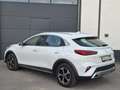 Kia XCeed Vision PHEV TEMP SHZ LED DAB Weiß - thumbnail 5