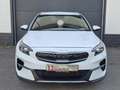 Kia XCeed Vision PHEV TEMP SHZ LED DAB Weiß - thumbnail 2