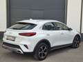 Kia XCeed Vision PHEV TEMP SHZ LED DAB Weiß - thumbnail 7