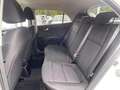 Kia Rio Dream Team*PDC*SHZ*Bluetooth*Lenkrad Hzg* Weiß - thumbnail 12