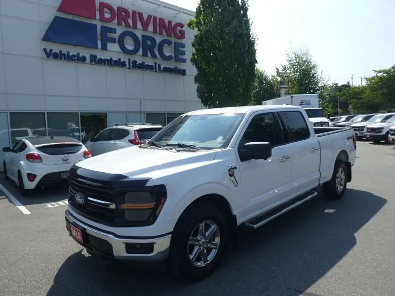2024 Ford F 150