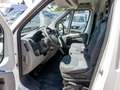 Peugeot Boxer L2H2 333 2.2 HDi verstärkt+el.Fenster+ZV+ABS Weiß - thumbnail 8