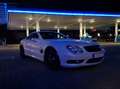 Mercedes-Benz SL 55 AMG SL 55 AMG Automatik Weiß - thumbnail 4